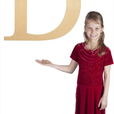 Times New Roman 24" Letter D