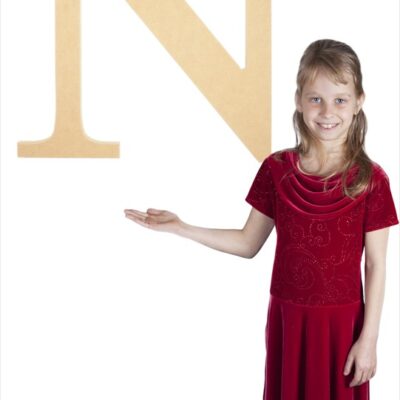 Times New Roman 24" Letter N