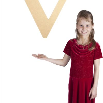 Times New Roman 24" Letter V