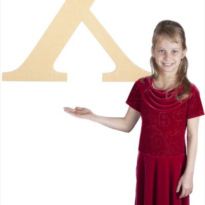 Times New Roman 24" Letter X