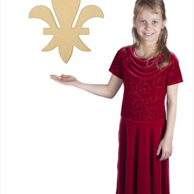 Large Fleur De Lis State (12x8)