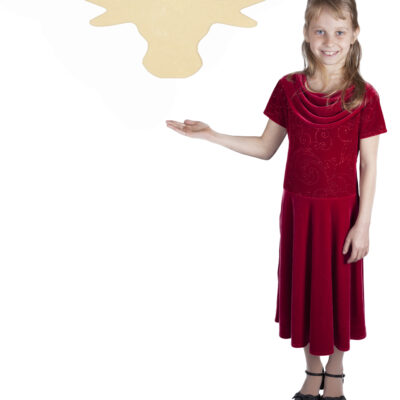 Large Texas Longhorn (40x12)