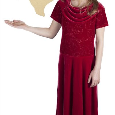 Large State of Texas (16x16)