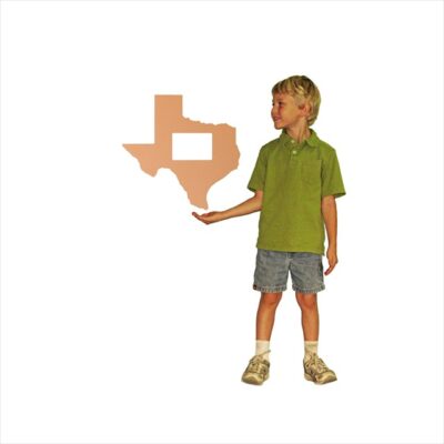 State Of Texas Picture Frame (16x16)