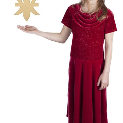 Medium Fleur De Lis State (8x6)