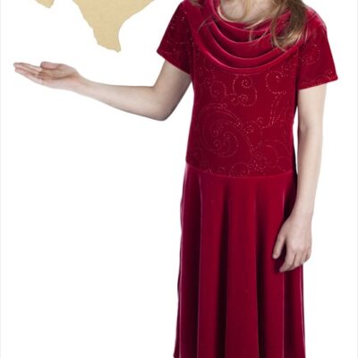 Medium State of Texas (12x12)