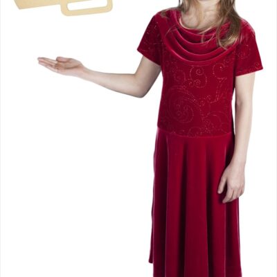 Megaphone Picture Frame (16x9)