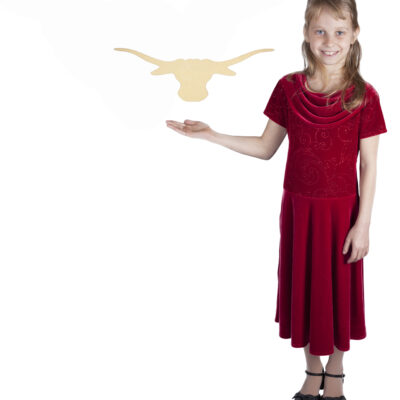 Small Texas Longhorn (20x6)