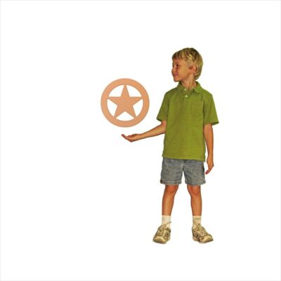 Small Texas Star (12")