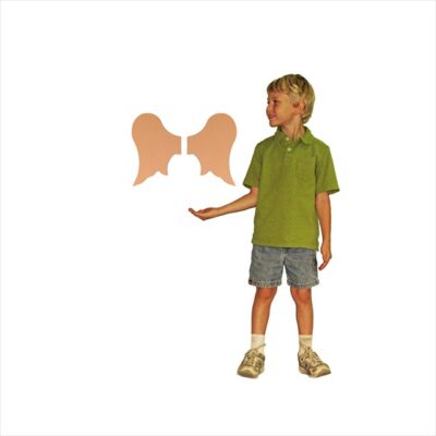 Pair Of Angel Wings (12")